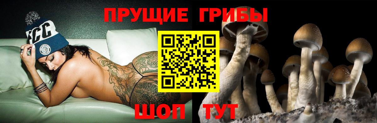 купить закладку  Вход с VPN  Пенза  Галлюциногенные грибы Cubensis 